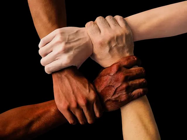 Cómo mejorar la colaboración en equipo con software fácil de usar